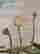 item-120807295=5