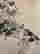 item-120807301=2