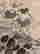 item-120807301=4