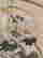 item-120807301=6