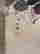 item-120807301=7