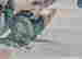 item-120807317=8