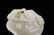 A Chinese Carved Jade Ruyi - 4