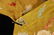 A Piece of Chinese Embroidered Robe - 3