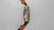 A Dzi Bead, Tianzhu - 2
