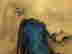 item-86500284=3