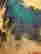 item-86500284=4