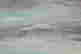 item-102743007=3