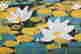 item-102743007=6