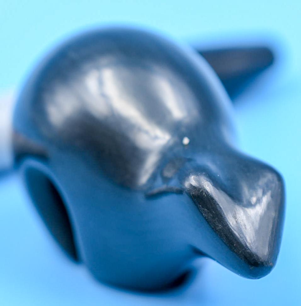 San Ildefonso pottery, Carved Bear,  Tse Pe and Dora (1 of 6)