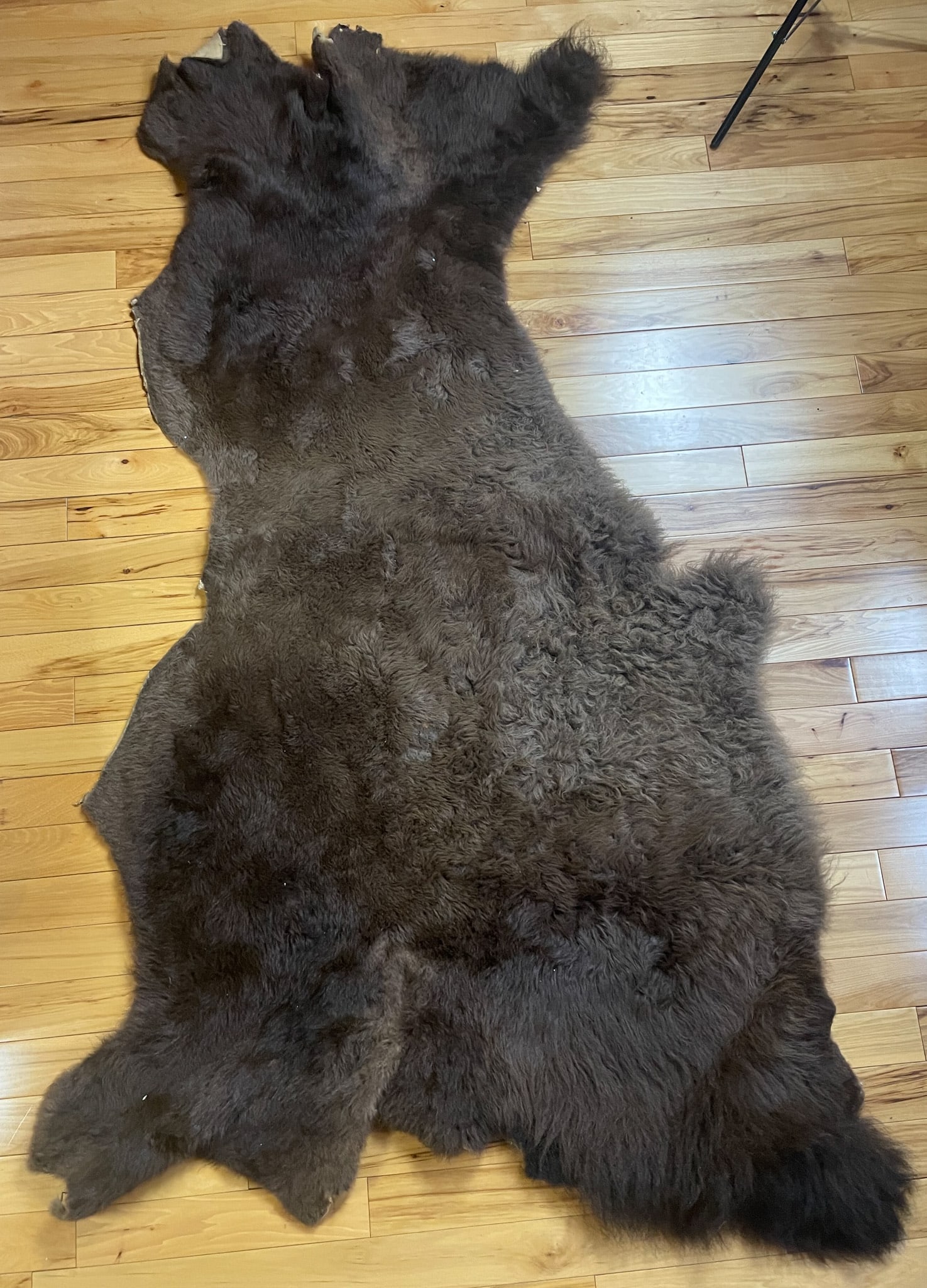 Buffalo Hide: Shipping is available (NOTE-Weight and dimensions are before packaging) approx. length-80". Widest section- 49"