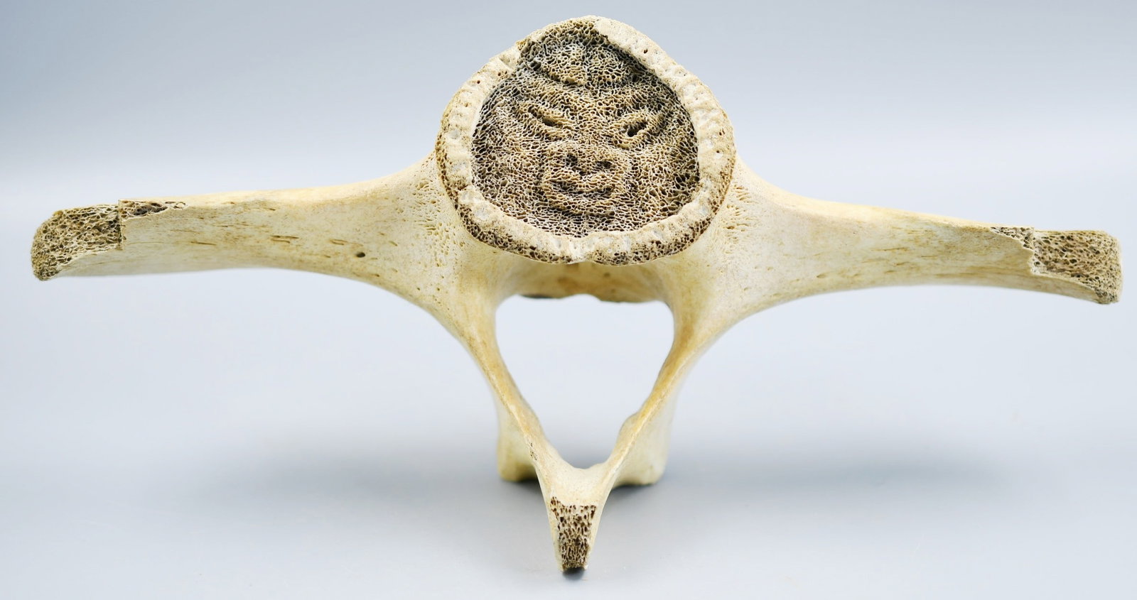 Inuit Art: Beached Whale vertebra art. (NOTE-Weight and dimensions are before packaging) dimensions- 5"H x 10 1/2"L x 3"W. weight- 7.6oz.