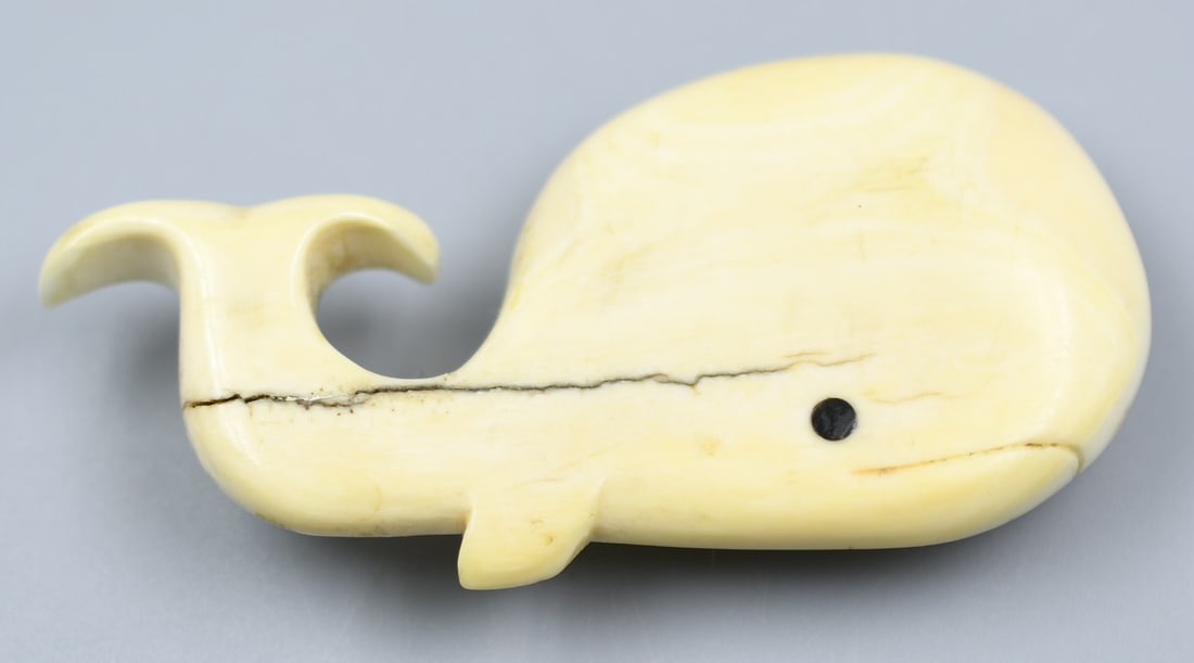 Bone belt buckle: Bone Whale belt buckle. (NOTE-Weight and dimensions are before packaging) 3 1/8"L x 1 1/2"W. weight- 1.1oz.