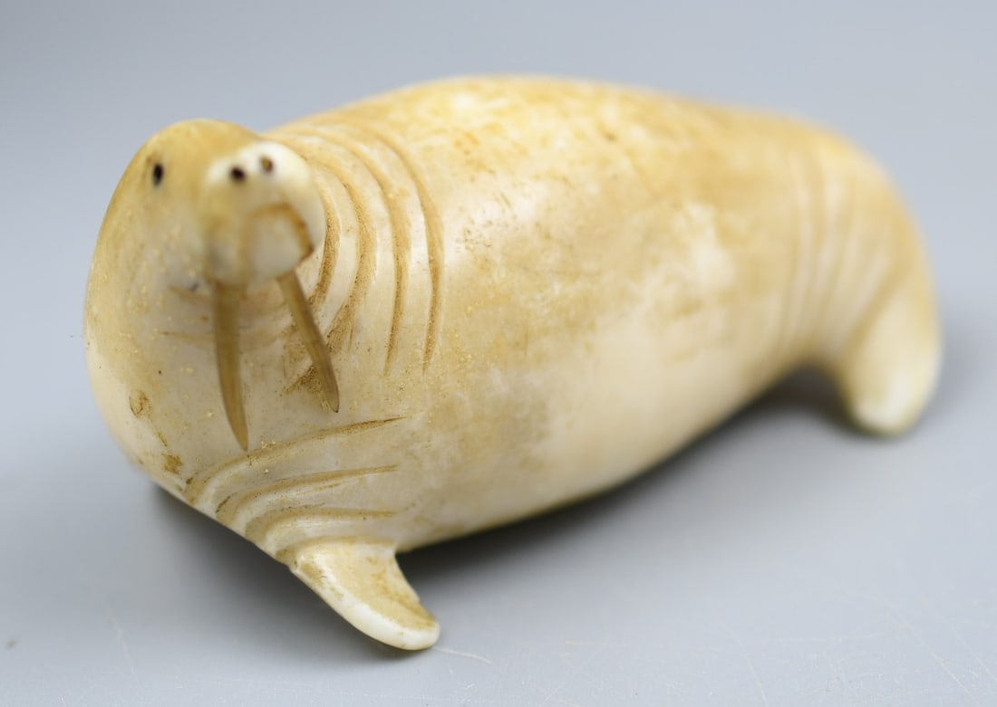Inuit Bone Carving: Inuit bone carving of a walrus. (NOTE-Weight and dimensions are before packaging) Dimensions-3"L. 1"H. 1 1/4"W. Weight- 3oz.