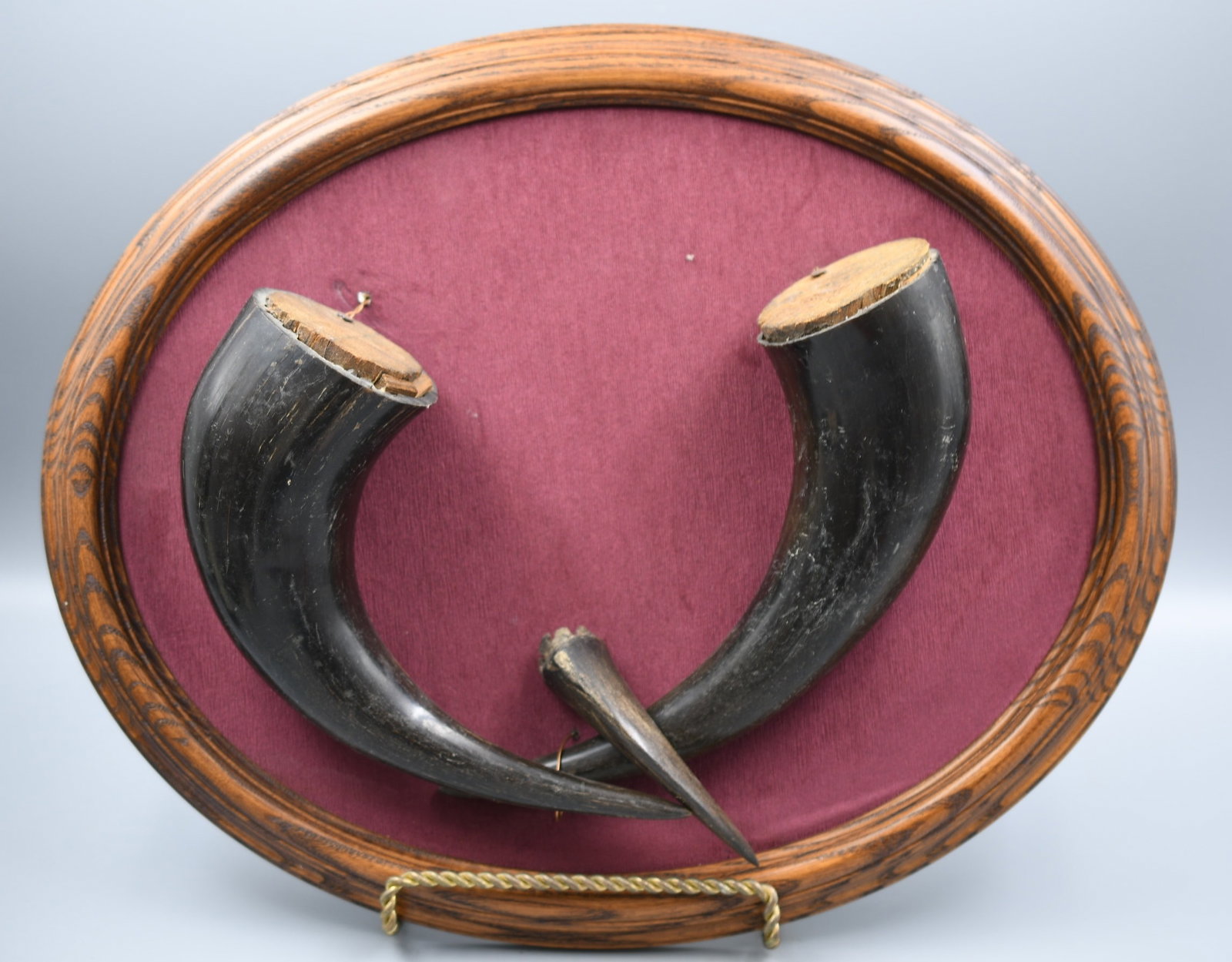 Framed Animal horns: unsure of animal species. (NOTE-Weight and dimensions are before packaging) frame-13"x 16". Weight-2lbs 2oz