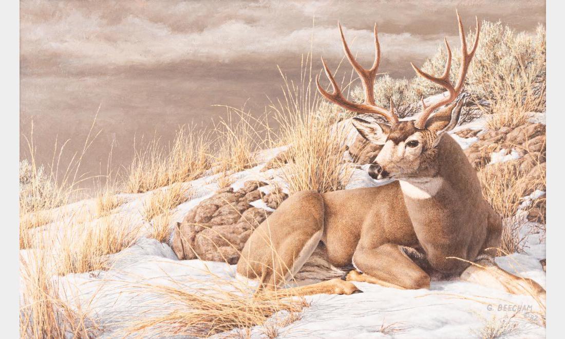 Greg Beecham, oil on canvas: Greg Beecham (1954 - ) Midday Sun 23" x 36" oil on canvas Signed and dated '82 lower right $2,000-3,000