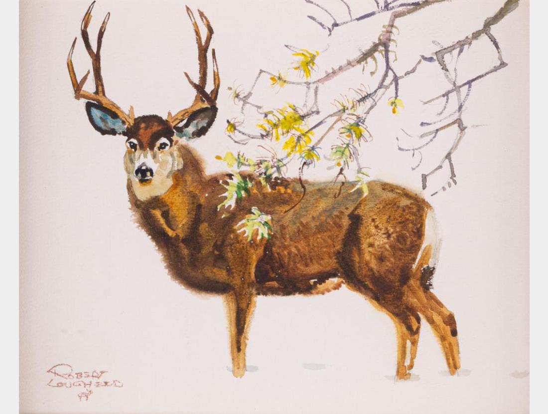 Robert Lougheed, watercolor: Robert Lougheed (1910-1982) Mule Deer 8" x 10" watercolor Signed lower left $1,000-2,000