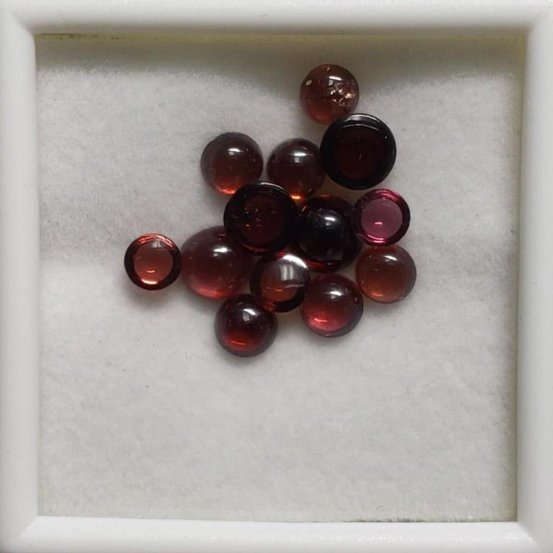 $100  Assorted Garnets(6ct) (1 of 2)
