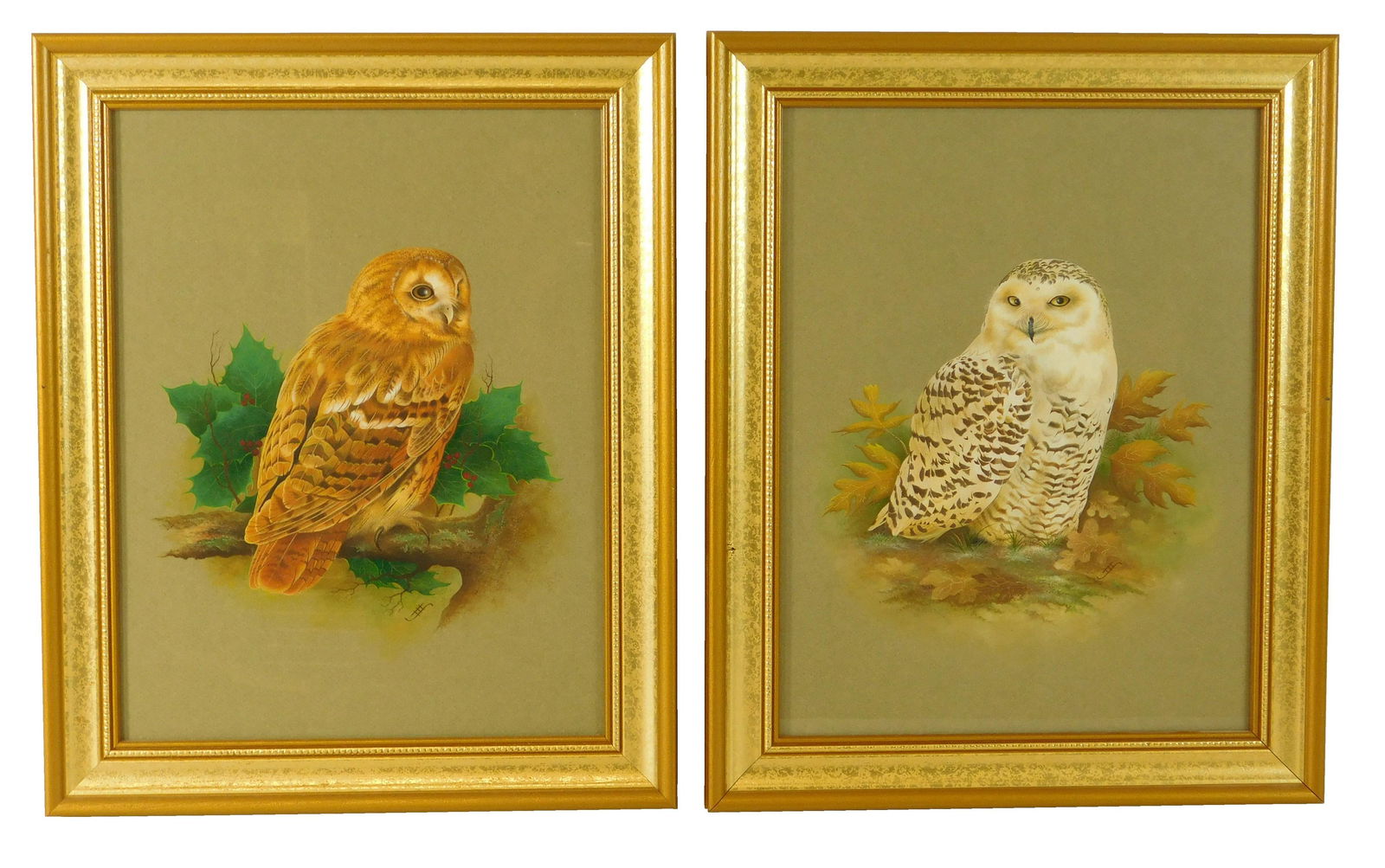Two framed owl studies, gouache on paper, unsigned, one (1 of 3)