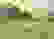 item-94369169=2