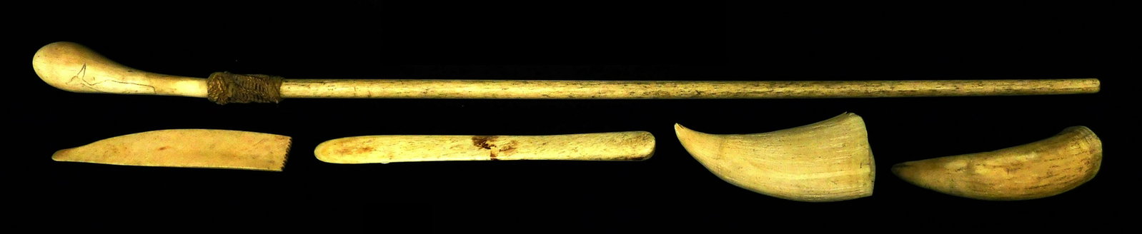 Five pieces of bone items, including: two whale teeth: Five pieces of bone items, including: two whale teeth with no decoration; three tools from bone, the largest with whale decoration on handle, wear on all consistent with age and use, including scatter