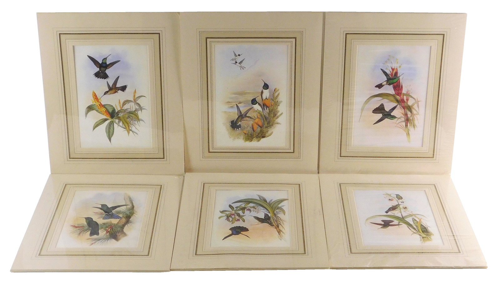 Six matted reproduction prints of hummingbirds, six (1 of 7)