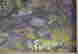 item-121070679=3