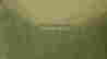 item-131037616=5