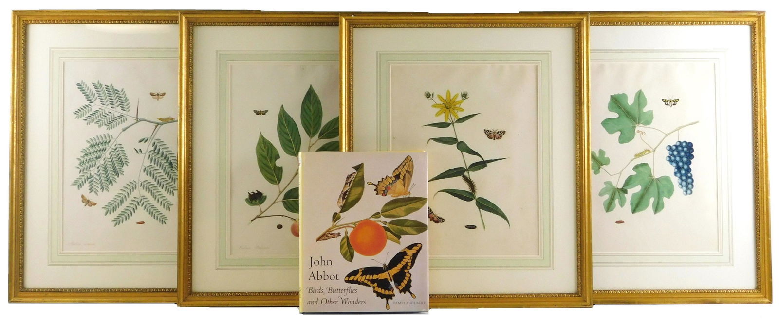 Four aquatints by John Abbot (1751 - 1839), set of four hand colored engravings, from "The Natural (1 of 6)