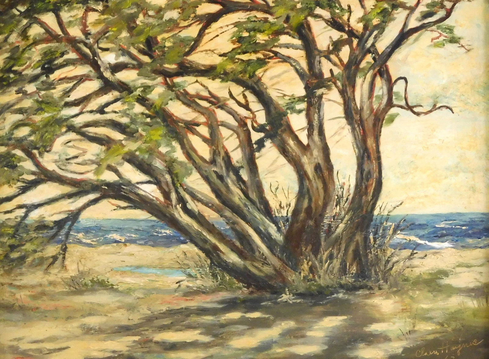 Clara Haynes (American, 20th C.) "Beach Trees" 1963, oil on masonite, a cluster of twisting tree (1 of 5)