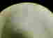 item-136980723=6