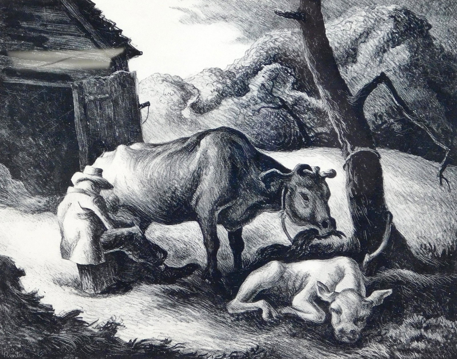 Thomas Hart Benton (American, 1889-1975), "White Calf", 1945, lithograph, (Fath 67), pencil-signed (1 of 6)