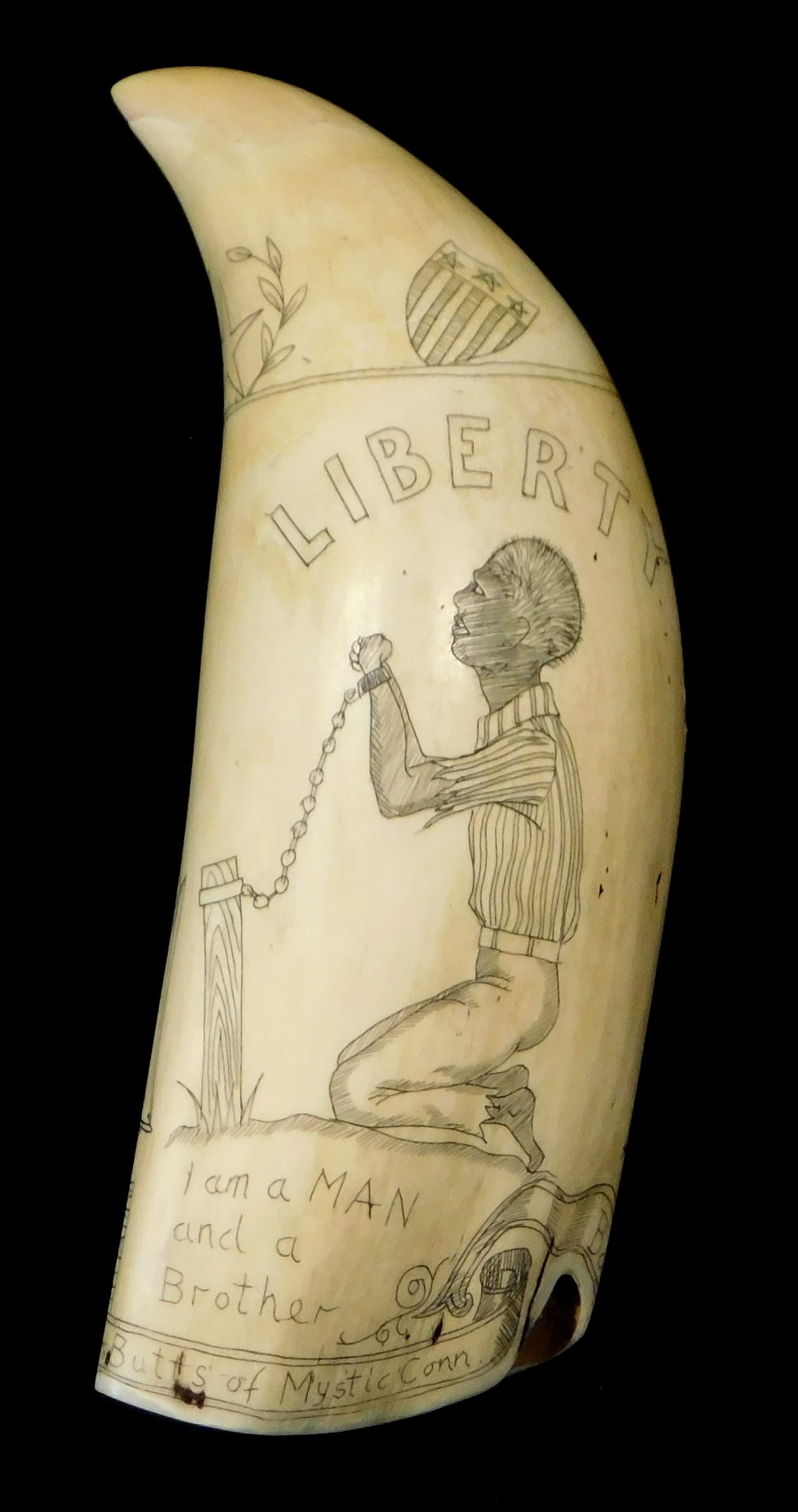 "Liberty" scrimshaw on whales tooth, abolitionist and nautical themes with depiction of a slave: "Liberty" scrimshaw on whales tooth, abolitionist and nautical themes with depiction of a slave captioned "I am a MAN and a Brother", and on the other side presumably the Bark "Bramin", with anchor, s