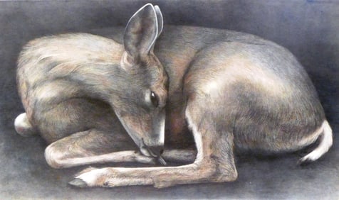 Janet Cummings Good (American, 20th C.), “Formosan Sika??, framed giclee print on archival paper,