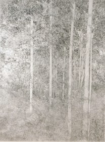 Richard Claude Zeimann (American, b. 1932), "Back Woods I", etching, artists proof, signed and