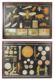 Pair of 20th C. Winslow Health and Hygiene Series framed posters, details include "W13 Germs and