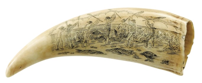 SCRIMSHAW: Engraved whale tooth depicting whale and seal hunts, obverse depicts three whaling ships
