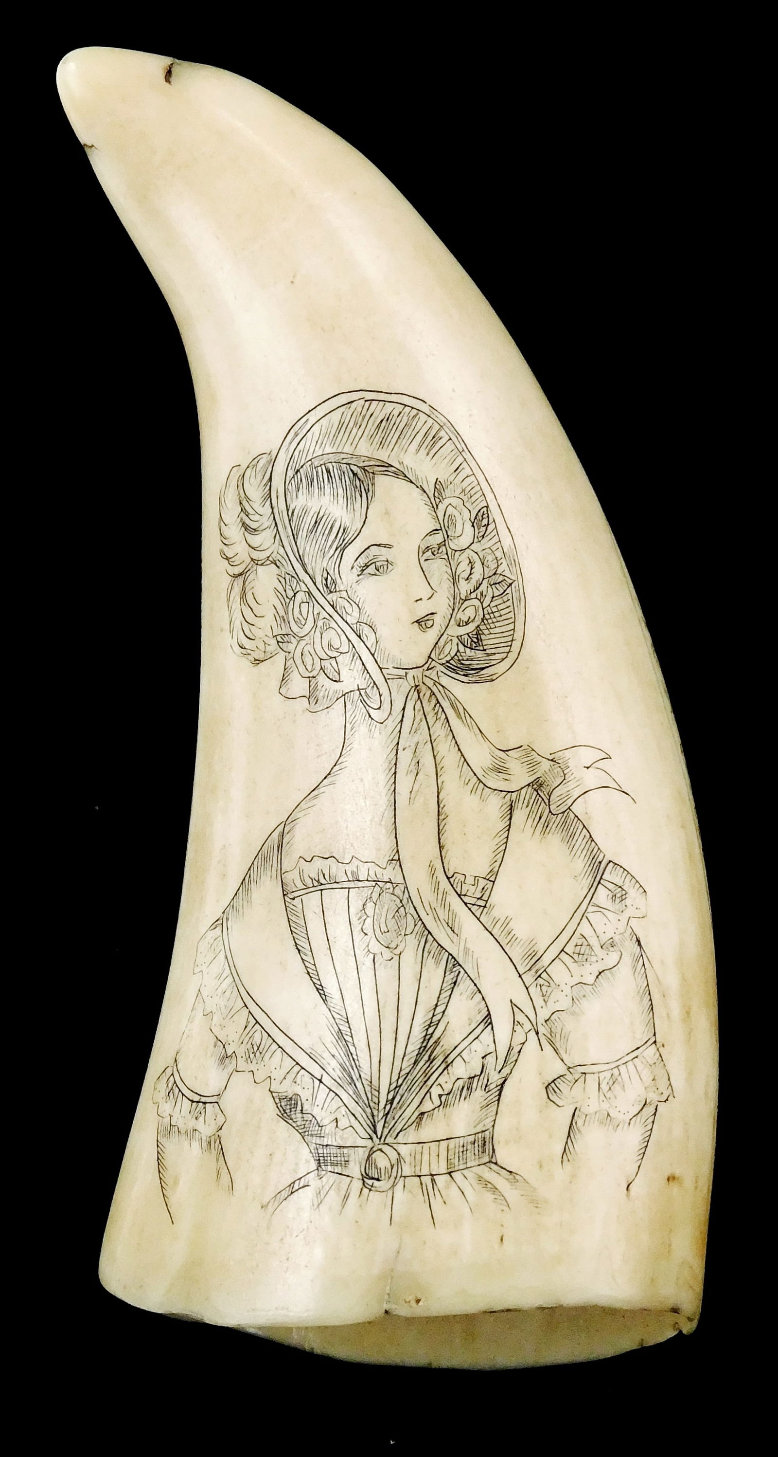 SCRIMSHAW: "Aurora", engraved whale tooth depicting American ship with full sails on obverse,: SCRIMSHAW: "Aurora", engraved whale tooth depicting American ship with full sails on obverse, portrait of a young women in bonnet and mid-19th C. dress, wear consistent with age and use, some cracks t