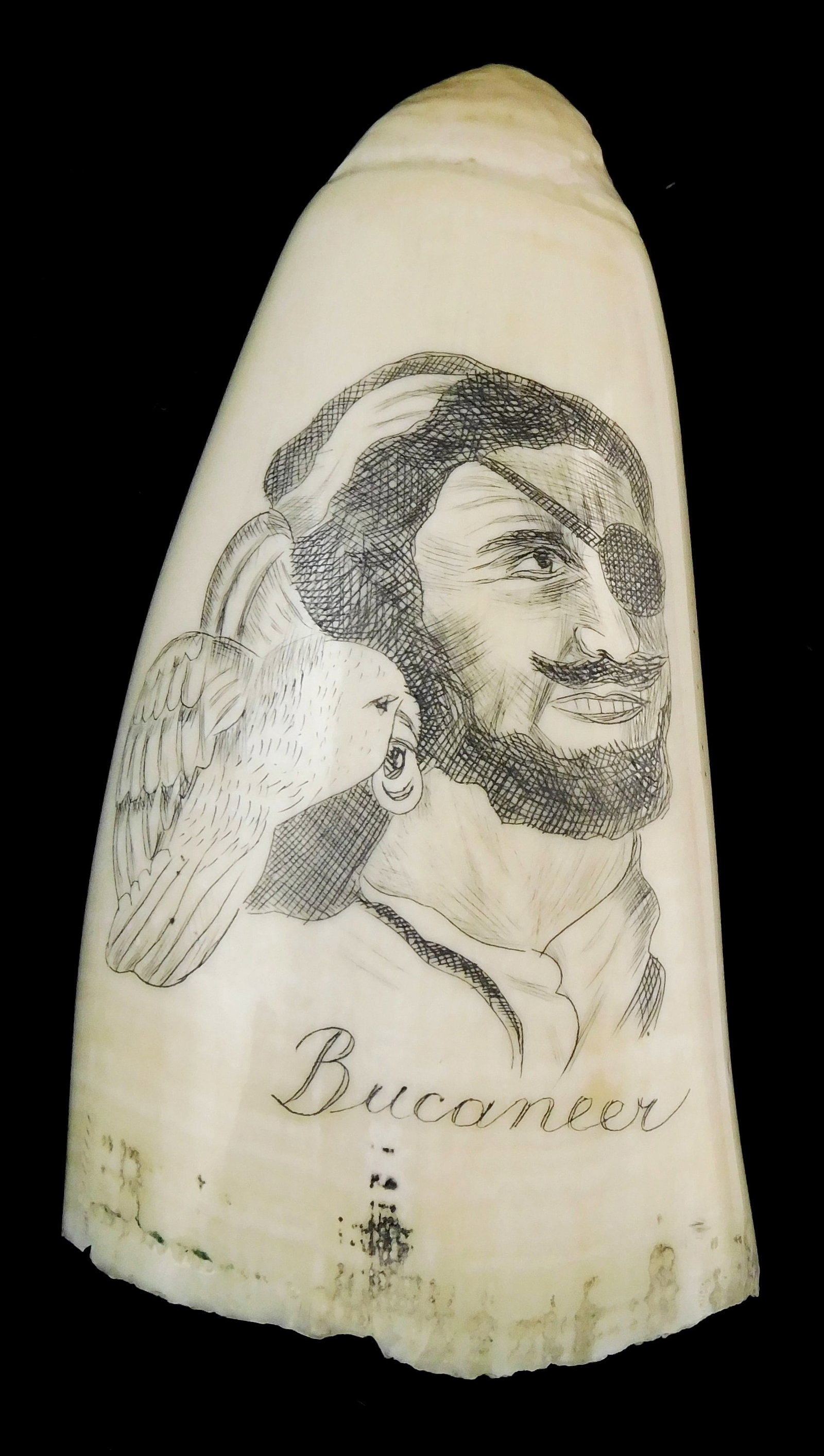 SCRIMSHAW: "Buccaneer", engraved whale tooth depicting pirate with eye patch, parrot and hoop: SCRIMSHAW: "Buccaneer", engraved whale tooth depicting pirate with eye patch, parrot and hoop earring in three quarter profile, inscribed titled near base, reverse not decorated, wear consistent with 