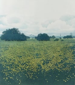 Phil Greenwood (English, b.1943), "Meadow Gold", artist's proof, etching, signed and titled bottom