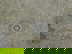 item-206085472=4