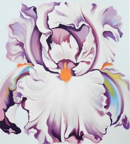 Lowell Nesbitt (American, 1933 - 1993), color lithograph on wove paper, 1981, depicts daylilies in