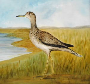 +"Willet in Beach Grass", oil on board, naïve/American School, late 19th/ early 20th C., graceful