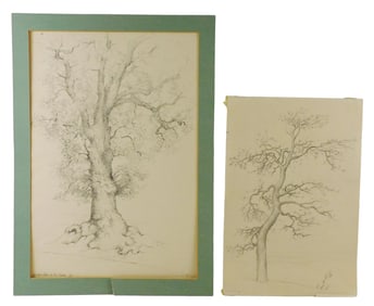 Leonid Berman (Russian/ American 1896 - 1976), Le Vieux Chêne (The Old Oak) 1949, pencil and ink on