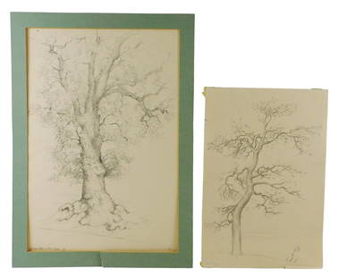 Leonid Berman (Russian/ American 1896 - 1976), Le Vieux Chêne (The Old Oak) 1949, pencil and ink on: Leonid Berman (Russian/ American 1896 - 1976), Le Vieux Chêne (The Old Oak) 1949, pencil and ink on paper, 22" x 15; along with an untitled pencil on paper, 1949, also of a tree, 17" x 11 5/8" wear c