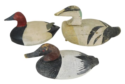 Three hand painted wooden duck decoys, including: two Canvasback drake decoys, and one Eider drake