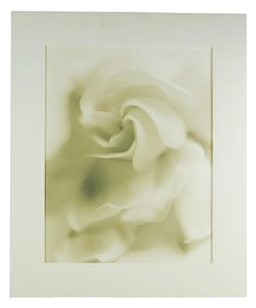 Sandi Fellman (American, b. 1952), “Gardenia II??, framed sepia-toned gelatin silver print, 1997,