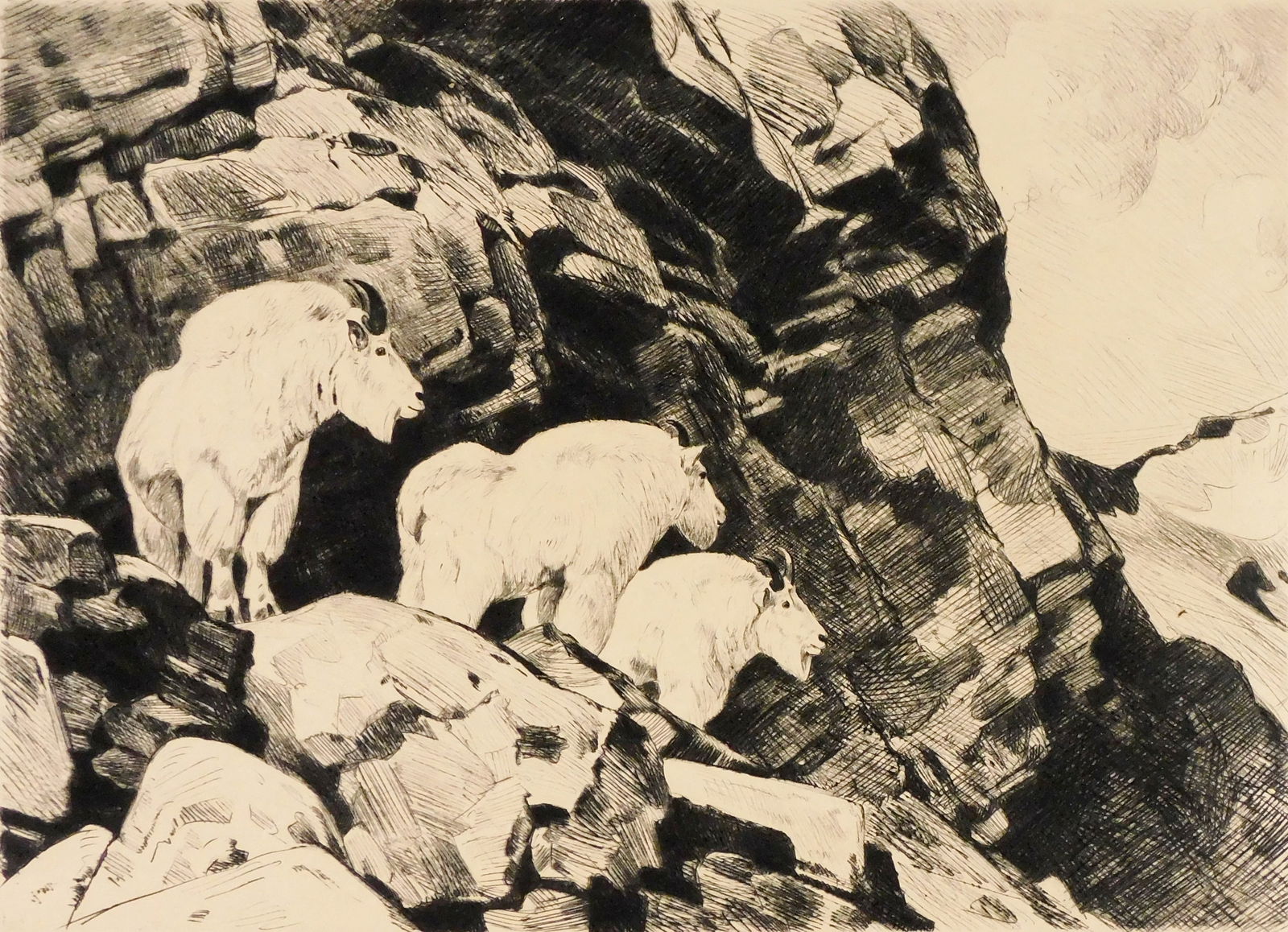 Carl Rungius (American, 1869-1959), “Three Old Gentlemen??, c. 1928, drypoint etching, three: Carl Rungius (American, 1869-1959), “Three Old Gentlemen”, c. 1928, drypoint etching, three mountain goats on a mountainside rocky ledge, pencil signed lower right, margins with pencil inscrip