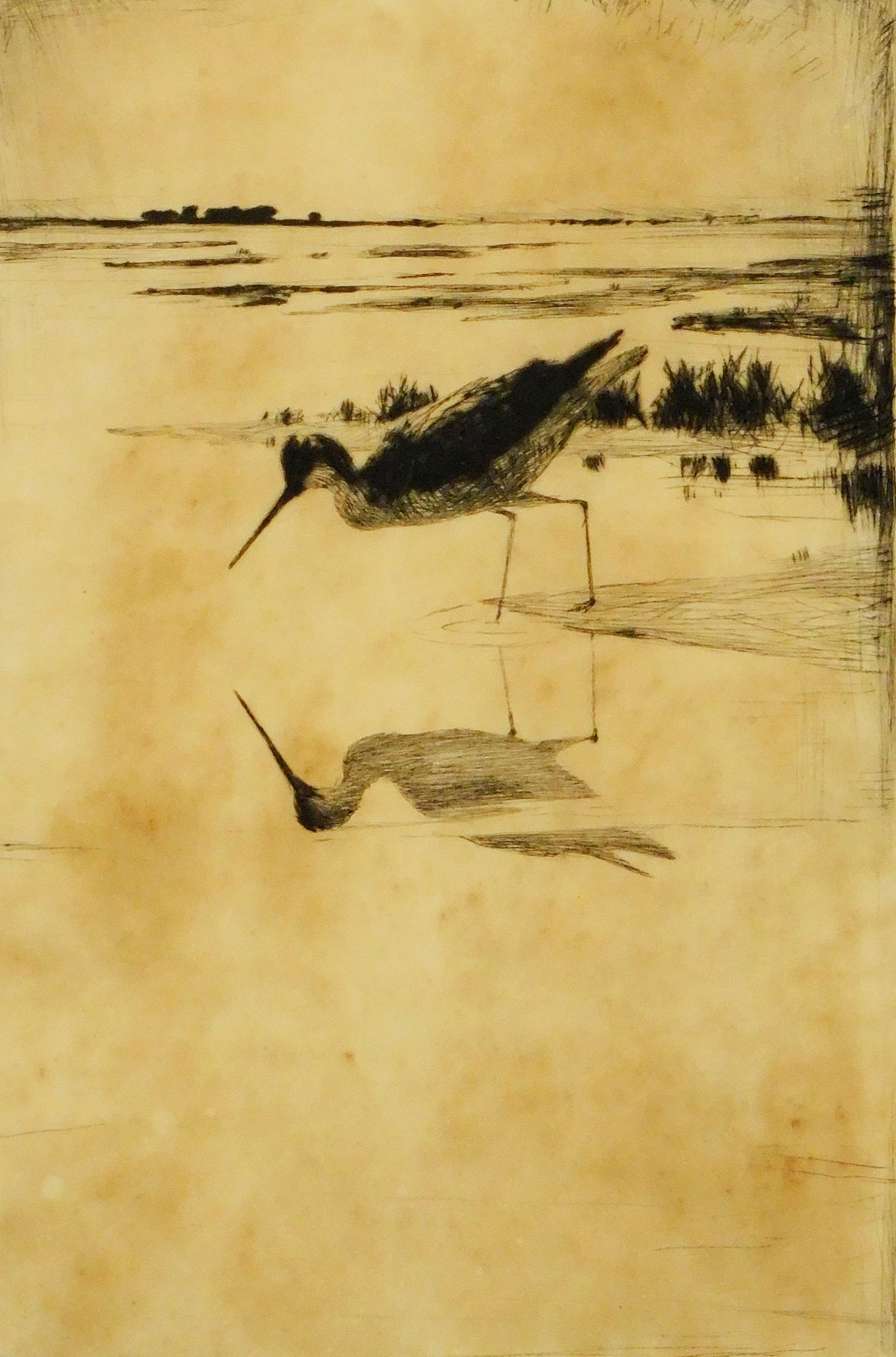 Frank Weston Benson (American 1862-1951), “Lone Yellow Legs??, etching, features a lone shorebird (1 of 6)