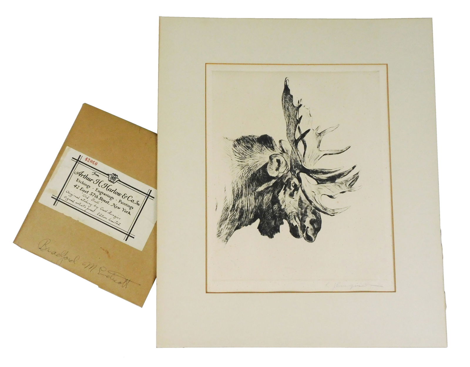 Carl Rungius (American, 1869-1959), “Old Bull??, c. 1897, drypoint etching, profile view of head: Carl Rungius (American, 1869-1959), “Old Bull”, c. 1897, drypoint etching, profile view of head of large male moose with large antlers, pencil signed lower right, with Arthur H. Harlow & Co. (